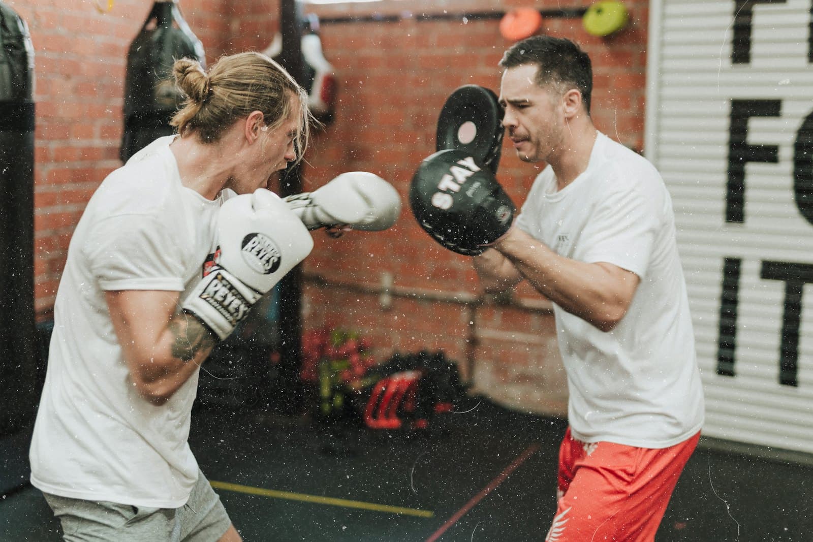 Fight Camp strength and conditioning